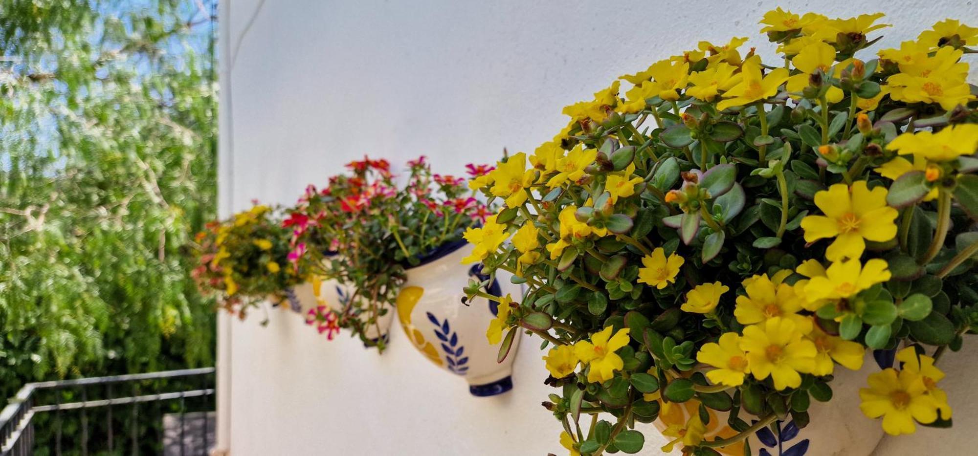 Cortijo Rodeo. Alojamiento Rural Carcabuey 外观 照片